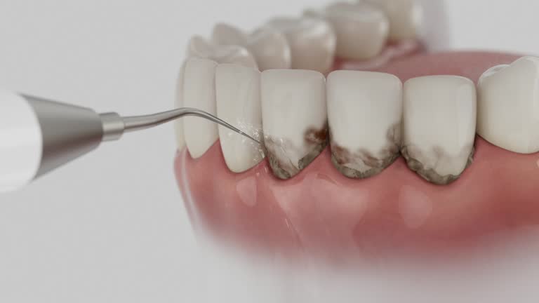Reliable Dental contractor in Leesburg, VA by Dentist Open Now